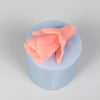 BeautyCosemtics Silicone Pink Rose Mold